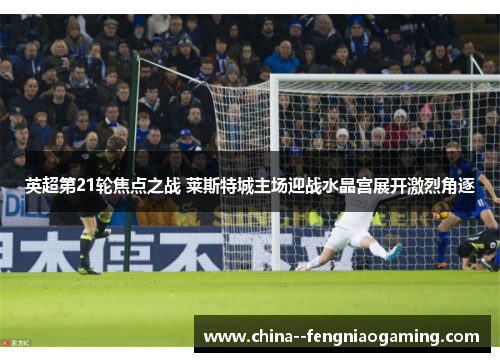 英超第21轮焦点之战 莱斯特城主场迎战水晶宫展开激烈角逐 英超第21轮焦点之战 莱斯特城主场迎战水晶宫展开激烈角逐