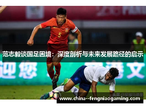 范志毅谈国足困境：深度剖析与未来发展路径的启示