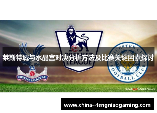 莱斯特城与水晶宫对决分析方法及比赛关键因素探讨 莱斯特城与水晶宫对决分析方法及比赛关键因素探讨