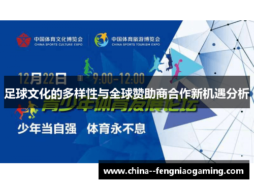 足球文化的多样性与全球赞助商合作新机遇分析 足球文化的多样性与全球赞助商合作新机遇分析
