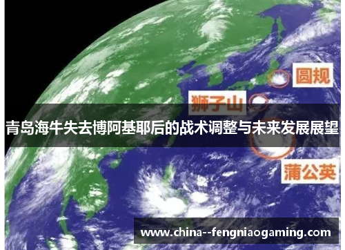 青岛海牛失去博阿基耶后的战术调整与未来发展展望