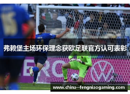 弗赖堡主场环保理念获欧足联官方认可表彰 弗赖堡主场环保理念获欧足联官方认可表彰