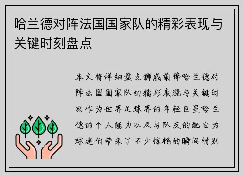 哈兰德对阵法国国家队的精彩表现与关键时刻盘点